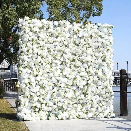 Back drop Rentals
